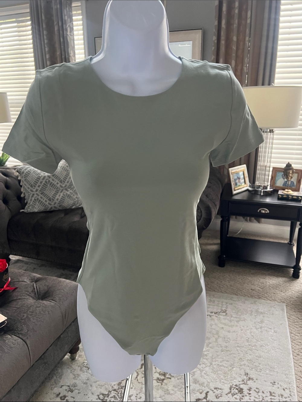 NWT Aritzia Short Sleeve Sage Green Bodysuit